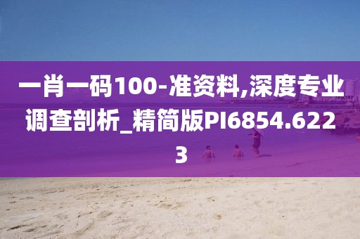 一肖一码100-准资料,深度专业调查剖析_精简版PI6854.6223