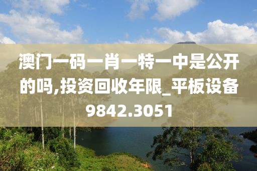 澳门一码一肖一特一中是公开的吗,投资回收年限_平板设备9842.3051