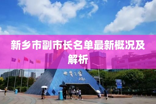 新乡市副市长名单最新概况及解析
