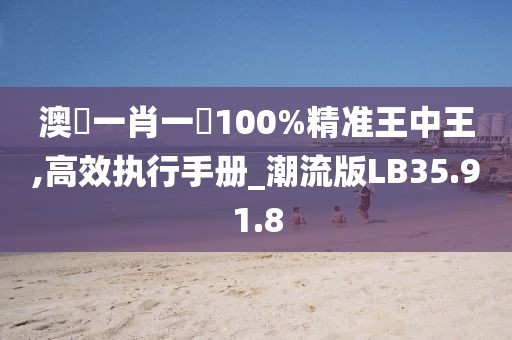 澳門一肖一碼100%精准王中王,高效执行手册_潮流版LB35.91.8