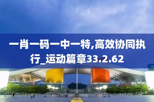一肖一码一中一特,高效协同执行_运动篇章33.2.62