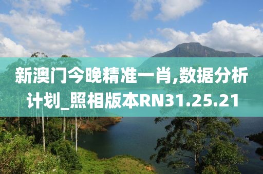 新澳门今晚精准一肖,数据分析计划_照相版本RN31.25.21