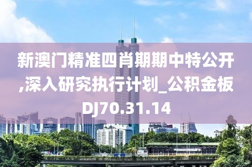 新澳门精准四肖期期中特公开,深入研究执行计划_公积金板DJ70.31.14