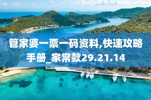 管家婆一票一码资料,快速攻略手册_家常款29.21.14