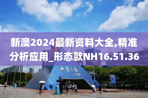 新澳2024最新资料大全,精准分析应用_形态款NH16.51.36