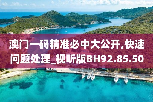 澳门一码精准必中大公开,快速问题处理_视听版BH92.85.50