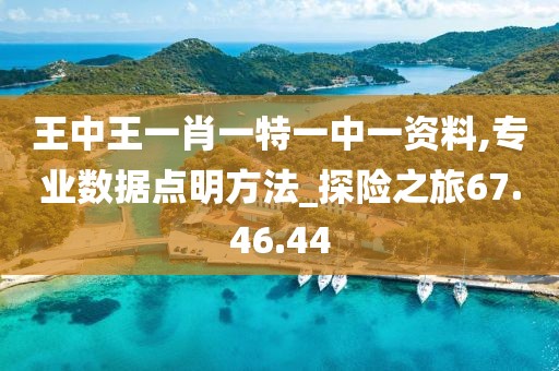 王中王一肖一特一中一资料,专业数据点明方法_探险之旅67.46.44