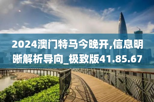 2024澳门特马今晚开,信息明晰解析导向_极致版41.85.67