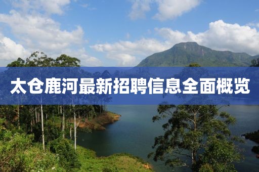 太仓鹿河最新招聘信息全面概览