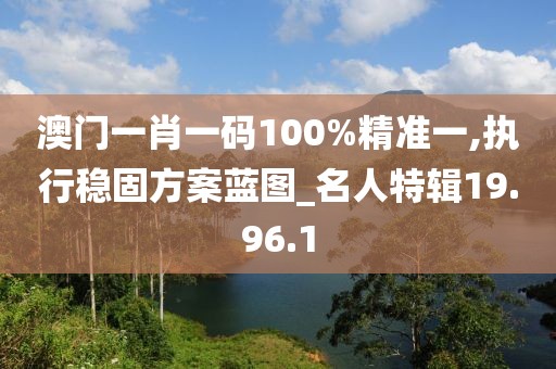 澳门一肖一码100%精准一,执行稳固方案蓝图_名人特辑19.96.1