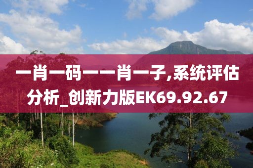 一肖一码一一肖一子,系统评估分析_创新力版EK69.92.67