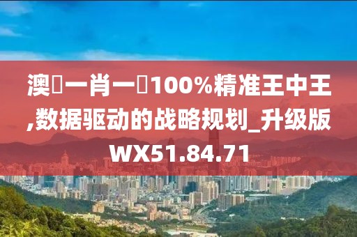澳門一肖一碼100%精准王中王,数据驱动的战略规划_升级版WX51.84.71