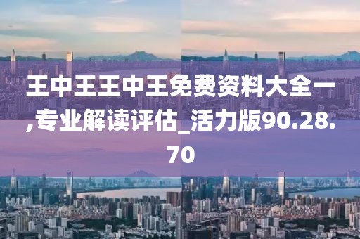王中王王中王免费资料大全一,专业解读评估_活力版90.28.70