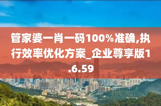管家婆一肖一码100%准确,执行效率优化方案_企业尊享版1.6.59