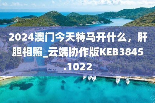 2024澳门今天特马开什么，肝胆相照_云端协作版KEB3845.1022