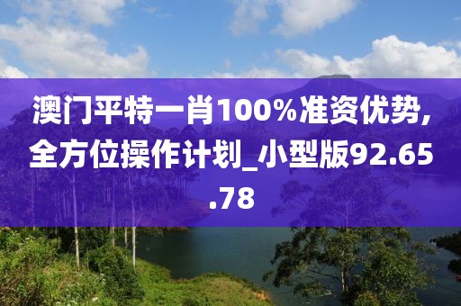 澳门平特一肖100%准资优势,全方位操作计划_小型版92.65.78