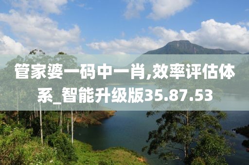 管家婆一码中一肖,效率评估体系_智能升级版35.87.53