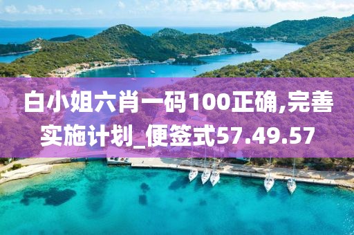 白小姐六肖一码100正确,完善实施计划_便签式57.49.57