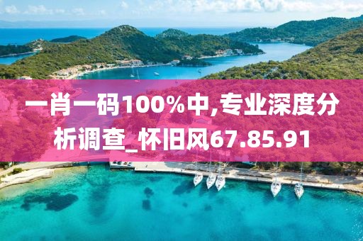 一肖一码100%中,专业深度分析调查_怀旧风67.85.91