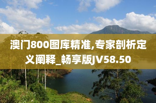 澳门800图库精准,专家剖析定义阐释_畅享版JV58.50