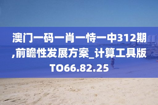 澳门一码一肖一恃一中312期,前瞻性发展方案_计算工具版TO66.82.25