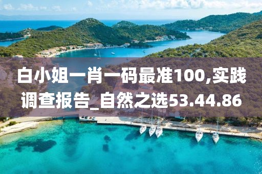 白小姐一肖一码最准100,实践调查报告_自然之选53.44.86