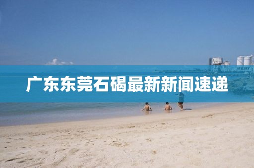 广东东莞石碣最新新闻速递