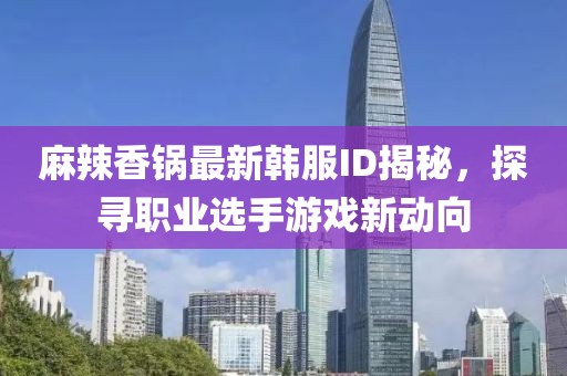 麻辣香锅最新韩服ID揭秘，探寻职业选手游戏新动向