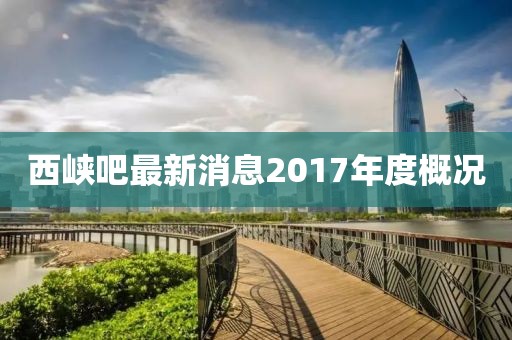 西峡吧最新消息2017年度概况