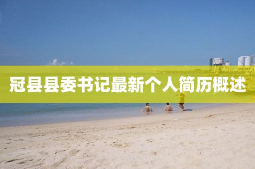 冠县县委书记最新个人简历概述