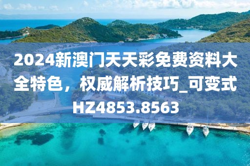 2024新澳门天天彩免费资料大全特色，权威解析技巧_可变式HZ4853.8563
