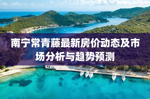 南宁常青藤最新房价动态及市场分析与趋势预测