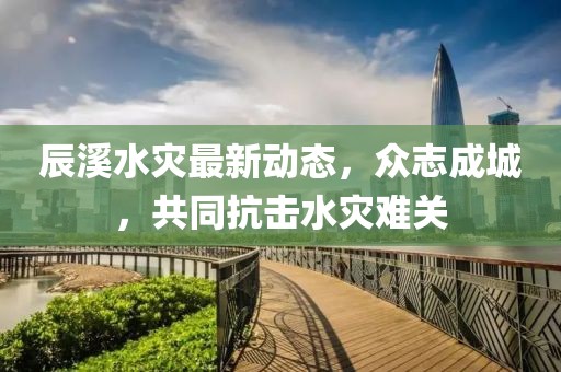 2024年12月 第24页