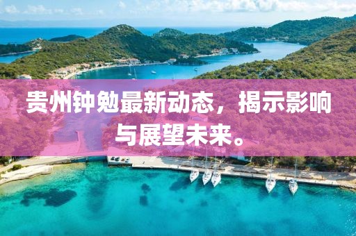 贵州钟勉最新动态，揭示影响与展望未来。