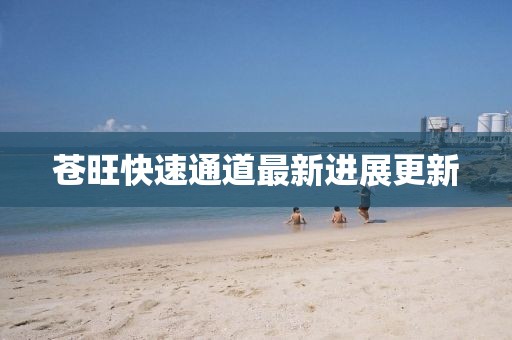 苍旺快速通道最新进展更新
