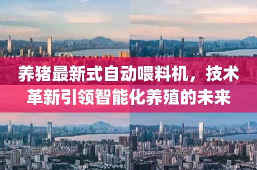 养猪最新式自动喂料机，技术革新引领智能化养殖的未来