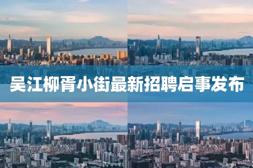 吴江柳胥小街最新招聘启事发布