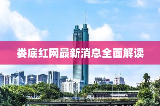 娄底红网最新消息全面解读