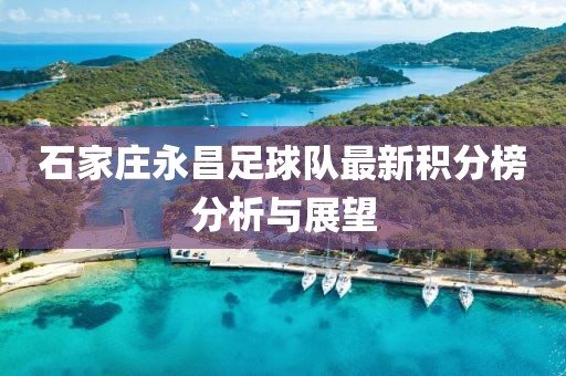 石家庄永昌足球队最新积分榜分析与展望