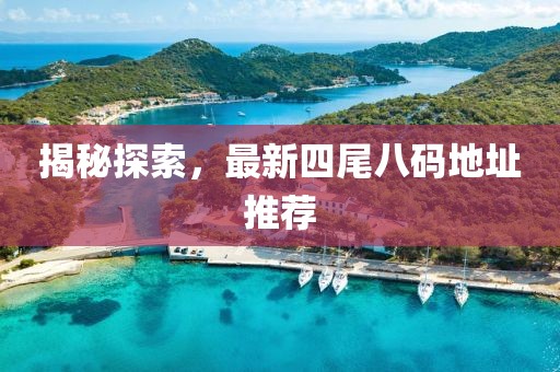 揭秘探索，最新四尾八码地址推荐