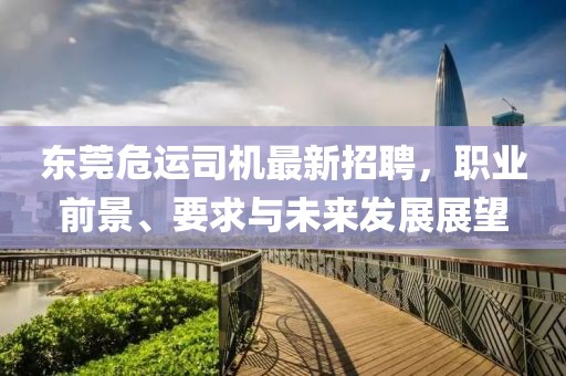 东莞危运司机最新招聘，职业前景、要求与未来发展展望