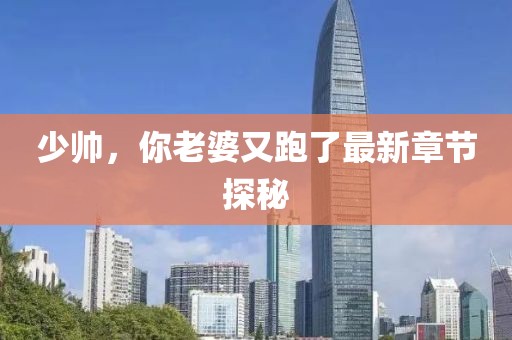 少帅，你老婆又跑了最新章节探秘