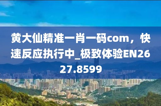 黄大仙精准一肖一码com，快速反应执行中_极致体验EN2627.8599