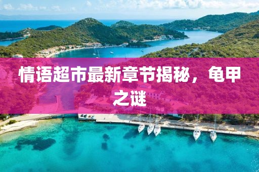 情语超市最新章节揭秘，龟甲之谜