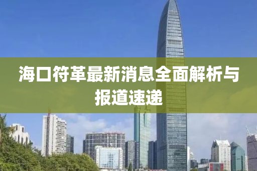 海口符革最新消息全面解析与报道速递