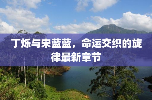 丁烁与宋蓝蓝，命运交织的旋律最新章节