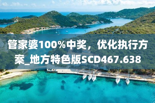管家婆100%中奖，优化执行方案_地方特色版SCD467.638