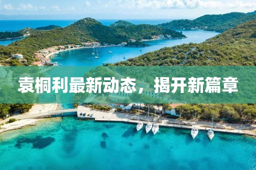 袁桐利最新动态，揭开新篇章