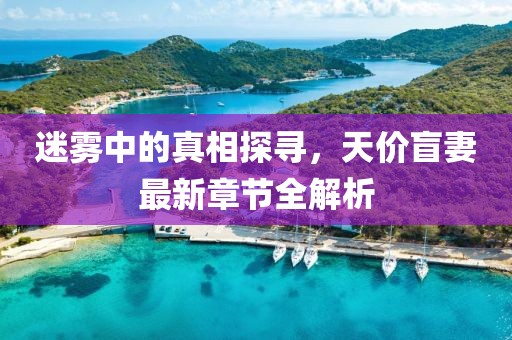 迷雾中的真相探寻，天价盲妻最新章节全解析
