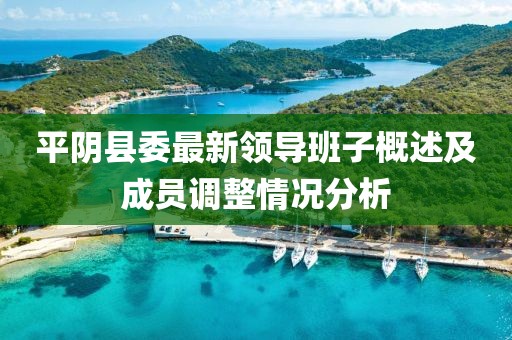 平阴县委最新领导班子概述及成员调整情况分析